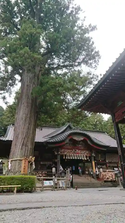 北口本宮冨士浅間神社の本殿・本堂