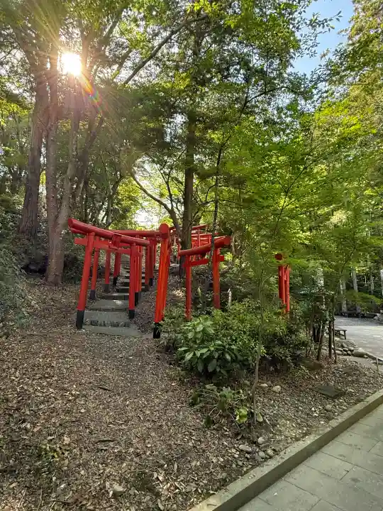 目の霊山 油山寺の{uncategorized: "未分類", other: "その他", undefined: "問題あり", building: "その他建物", grave: "お墓", sacred_gate: "鳥居", guardian: "狛犬", statue: "像", buddha: "仏像", history: "歴史", nature: "自然", garden: "庭園", animal: "動物", pagoda: "塔", temizu: "手水舎", mountain_gate: "山門・神門", sanctuary: "本殿・本堂", subordinate: "末社・摂社", art: "芸術", scenery: "景色", jizo: "地蔵", ema: "絵馬", goshuin: "御朱印", omikuji: "おみくじ", items: "授与品その他", amulet: "お守り", goshuincho: "御朱印帳", eats: "食事", festival: "お祭り", votive_dance: "神楽", shichigosan: "七五三参", wedding: "結婚式", experience: "体験その他", initially: "初詣", around: "周辺", anti_infection: "感染症対策"}