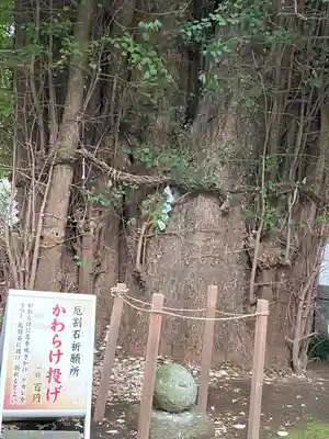 鶴嶺八幡宮のその他建物