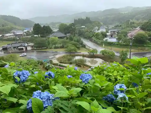 妙提寺の景色