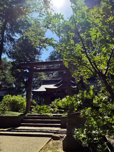 大井神社(茨城県)