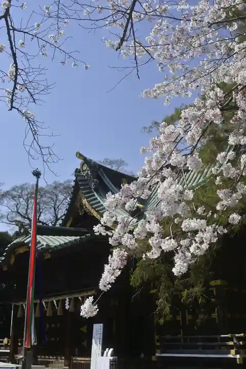 三嶋大社(静岡県)