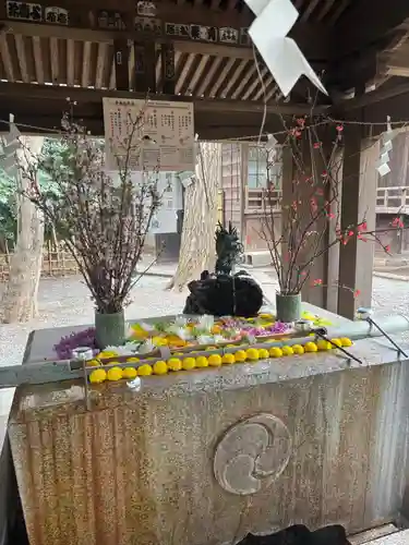 世田谷八幡宮(東京都)