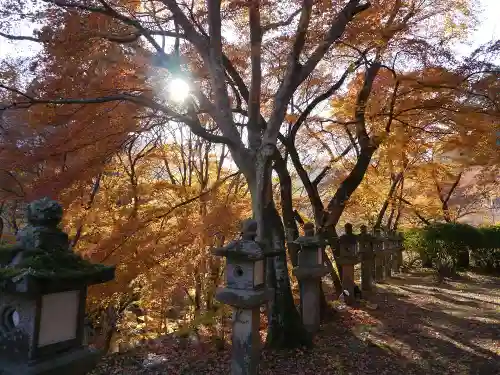 談山神社の自然