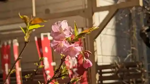 正寶院（飛不動尊）(東京都)