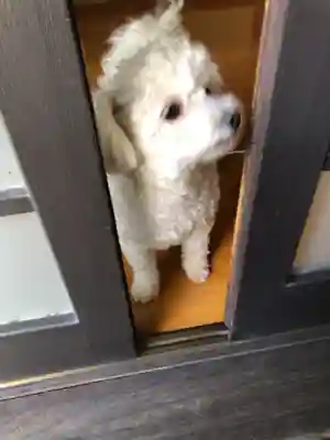 大林寺(宮城県)