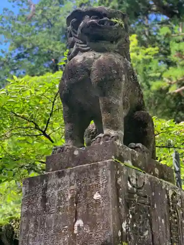 北口本宮冨士浅間神社の狛犬