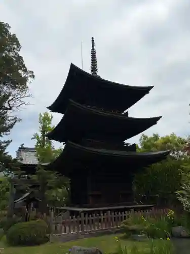信濃國分寺の{uncategorized: "未分類", other: "その他", undefined: "問題あり", building: "その他建物", grave: "お墓", sacred_gate: "鳥居", guardian: "狛犬", statue: "像", buddha: "仏像", history: "歴史", nature: "自然", garden: "庭園", animal: "動物", pagoda: "塔", temizu: "手水舎", mountain_gate: "山門・神門", sanctuary: "本殿・本堂", subordinate: "末社・摂社", art: "芸術", scenery: "景色", jizo: "地蔵", ema: "絵馬", goshuin: "御朱印", omikuji: "おみくじ", items: "授与品その他", amulet: "お守り", goshuincho: "御朱印帳", eats: "食事", festival: "お祭り", votive_dance: "神楽", shichigosan: "七五三参", wedding: "結婚式", experience: "体験その他", initially: "初詣", around: "周辺", anti_infection: "感染症対策"}