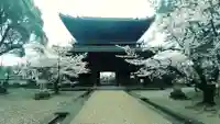 大樹寺(松安院大樹寺)(愛知県)