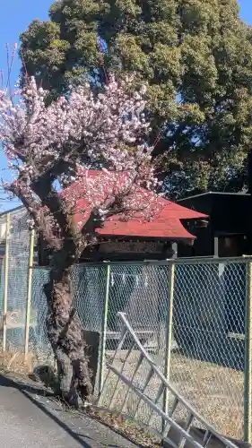 神明神社の{uncategorized: "未分類", other: "その他", undefined: "問題あり", building: "その他建物", grave: "お墓", sacred_gate: "鳥居", guardian: "狛犬", statue: "像", buddha: "仏像", history: "歴史", nature: "自然", garden: "庭園", animal: "動物", pagoda: "塔", temizu: "手水舎", mountain_gate: "山門・神門", sanctuary: "本殿・本堂", subordinate: "末社・摂社", art: "芸術", scenery: "景色", jizo: "地蔵", ema: "絵馬", goshuin: "御朱印", omikuji: "おみくじ", items: "授与品その他", amulet: "お守り", goshuincho: "御朱印帳", eats: "食事", festival: "お祭り", votive_dance: "神楽", shichigosan: "七五三参", wedding: "結婚式", experience: "体験その他", initially: "初詣", around: "周辺", anti_infection: "感染症対策"}