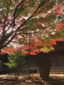 滑川神社 - 仕事と子どもの守り神(福島県)(2025年11月11日(火) 17時47分20秒投稿)