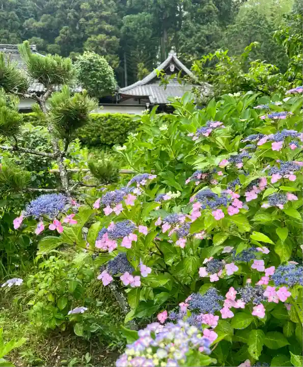 極楽寺(静岡県)