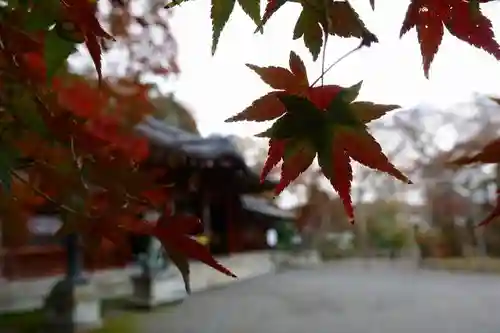 大石神社のその他建物