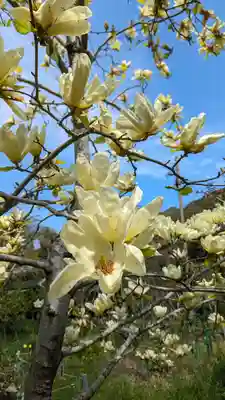 惠心院(京都府)