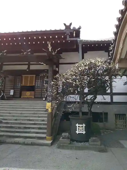 感通寺の本殿・本堂