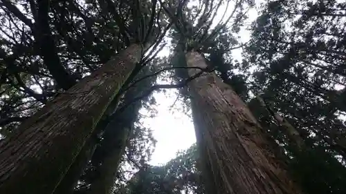 加蘇山神社の自然