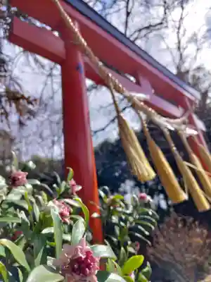 鷲宮神社(埼玉県)