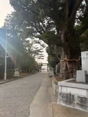 鶴谷八幡宮の{uncategorized: "未分類", other: "その他", undefined: "問題あり", building: "その他建物", grave: "お墓", sacred_gate: "鳥居", guardian: "狛犬", statue: "像", buddha: "仏像", history: "歴史", nature: "自然", garden: "庭園", animal: "動物", pagoda: "塔", temizu: "手水舎", mountain_gate: "山門・神門", sanctuary: "本殿・本堂", subordinate: "末社・摂社", art: "芸術", scenery: "景色", jizo: "地蔵", ema: "絵馬", goshuin: "御朱印", omikuji: "おみくじ", items: "授与品その他", amulet: "お守り", goshuincho: "御朱印帳", eats: "食事", festival: "お祭り", votive_dance: "神楽", shichigosan: "七五三参", wedding: "結婚式", experience: "体験その他", initially: "初詣", around: "周辺", anti_infection: "感染症対策"}