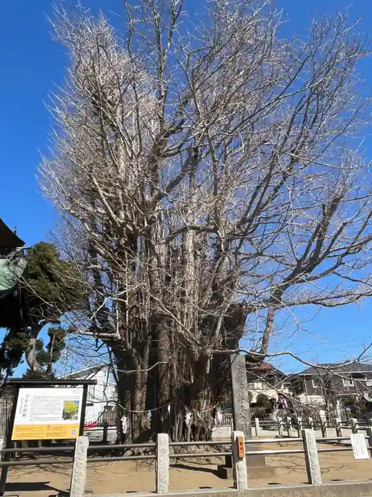 葛飾八幡宮(千葉県)