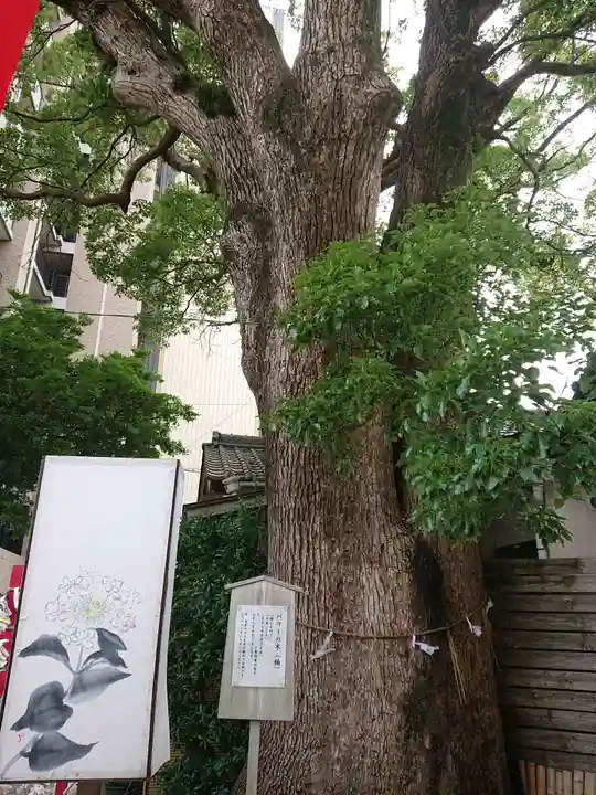 菅生神社の庭園