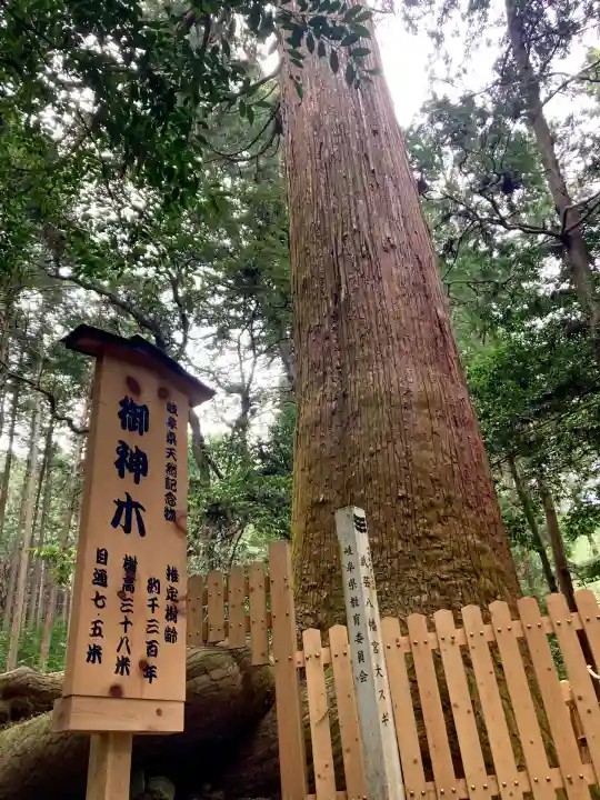 八幡神社(武芸八幡宮)(岐阜県)