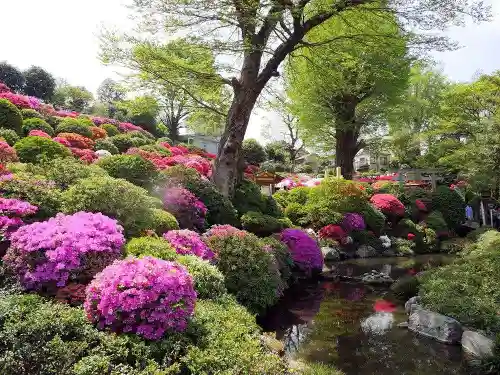 根津神社の庭園