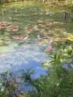 根道神社(岐阜県)