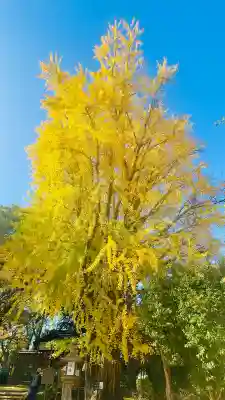 三栖神社(京都府)