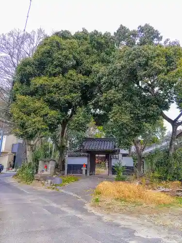 慈雲寺（田植観音）の自然