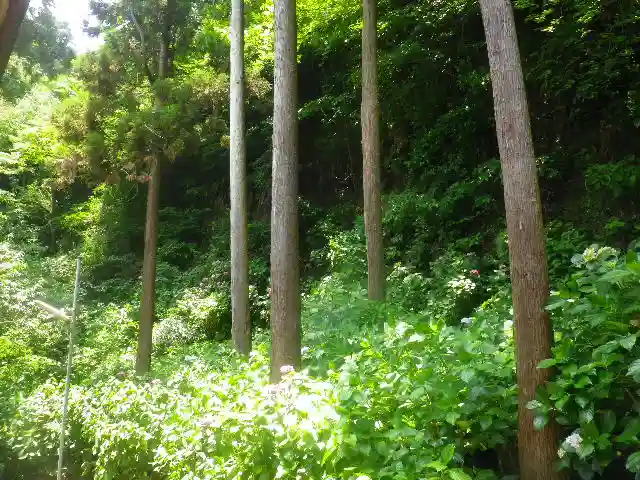 御霊神社の自然
