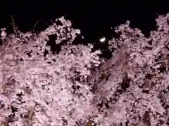 瀧桜神明宮の自然