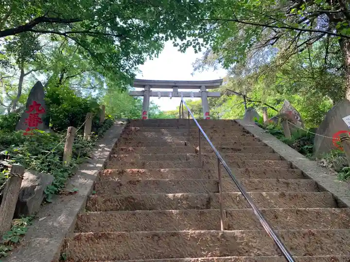駒込富士神社の鳥居