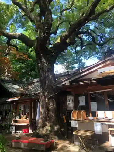 若一神社(京都府)