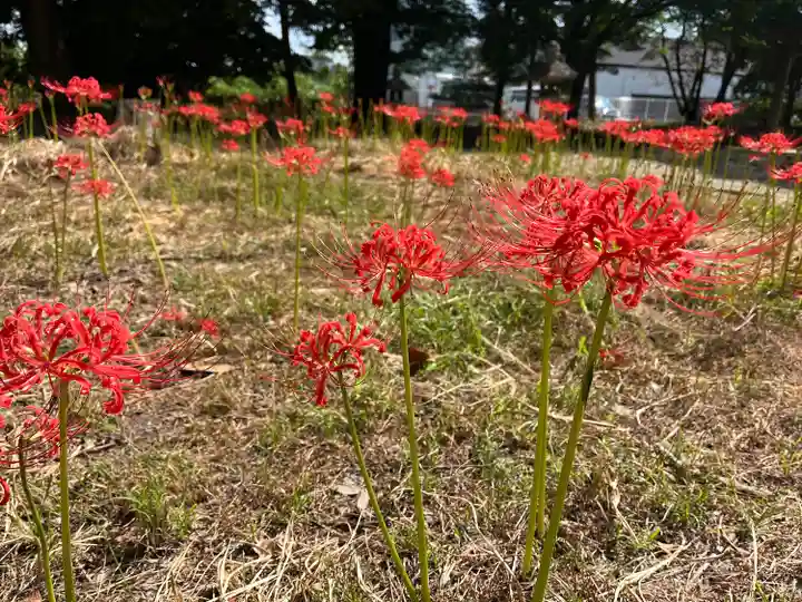 若宮八幡宮(京都府)