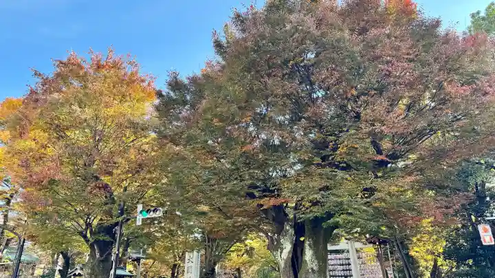 大國魂神社の{uncategorized: "未分類", other: "その他", undefined: "問題あり", building: "その他建物", grave: "お墓", sacred_gate: "鳥居", guardian: "狛犬", statue: "像", buddha: "仏像", history: "歴史", nature: "自然", garden: "庭園", animal: "動物", pagoda: "塔", temizu: "手水舎", mountain_gate: "山門・神門", sanctuary: "本殿・本堂", subordinate: "末社・摂社", art: "芸術", scenery: "景色", jizo: "地蔵", ema: "絵馬", goshuin: "御朱印", omikuji: "おみくじ", items: "授与品その他", amulet: "お守り", goshuincho: "御朱印帳", eats: "食事", festival: "お祭り", votive_dance: "神楽", shichigosan: "七五三参", wedding: "結婚式", experience: "体験その他", initially: "初詣", around: "周辺", anti_infection: "感染症対策"}