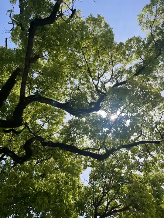 富岡八幡宮(東京都)