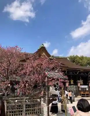 北野天満宮(京都府)