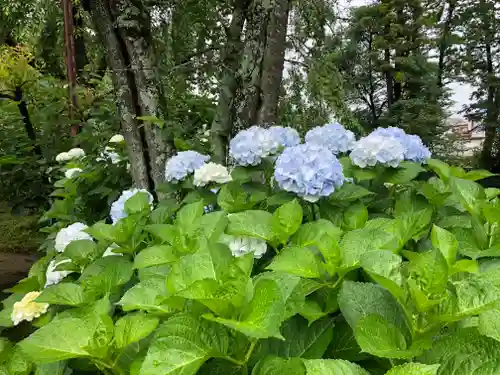 境香取神社の自然