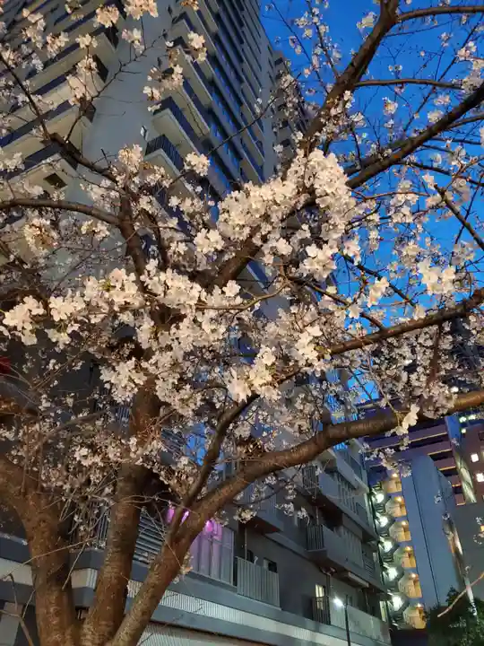小野八幡神社の自然