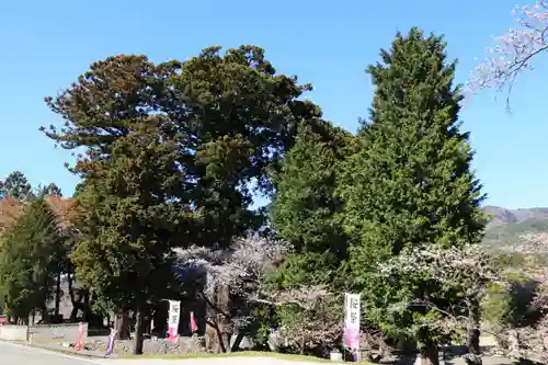 高司神社〜むすびの神の鎮まる社〜の景色