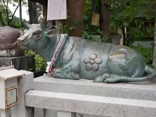 長岡天満宮の狛犬