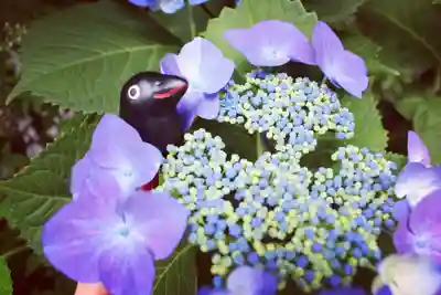 くまくま神社(導きの社 熊野町熊野神社)のその他建物