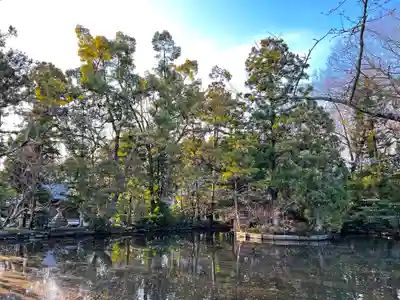 阿自岐神社の庭園
