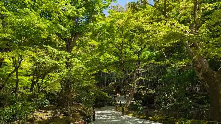 圓光寺(京都府)