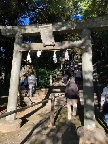 西宮神社の鳥居