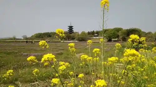 備中國分寺の景色