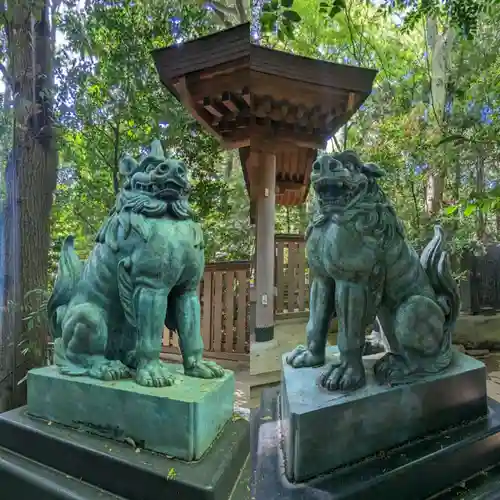 駒木諏訪神社の狛犬