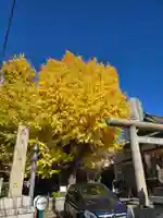 飛木稲荷神社(東京都)