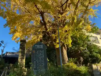 安國論寺（安国論寺）(神奈川県)