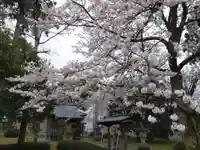 白山神社(福井県)